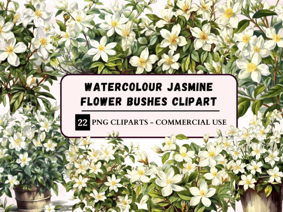 Bringing Nature's Elegance to Life with Watercolor Jasmine Flower Bushes Clipart
